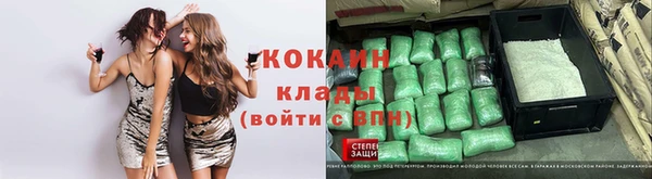 ПСИЛОЦИБИНОВЫЕ ГРИБЫ Дмитров