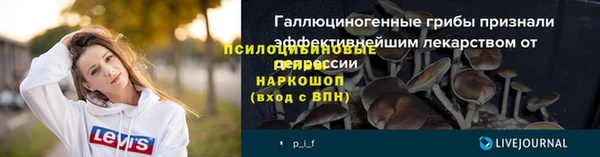 ПСИЛОЦИБИНОВЫЕ ГРИБЫ Дмитров