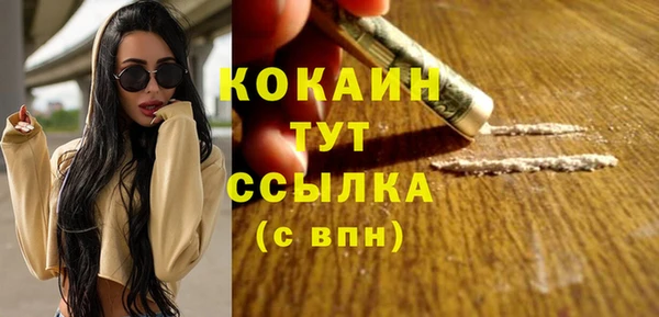 ПСИЛОЦИБИНОВЫЕ ГРИБЫ Дмитров