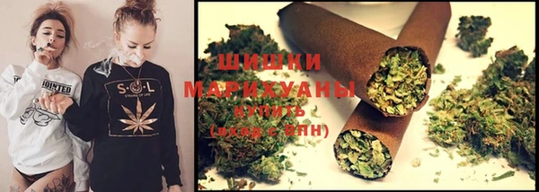 ПСИЛОЦИБИНОВЫЕ ГРИБЫ Дмитров