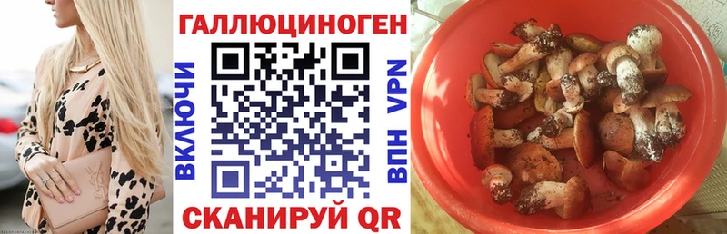 Псилоцибиновые грибы прущие грибы  купить наркотики цена  Осташков 